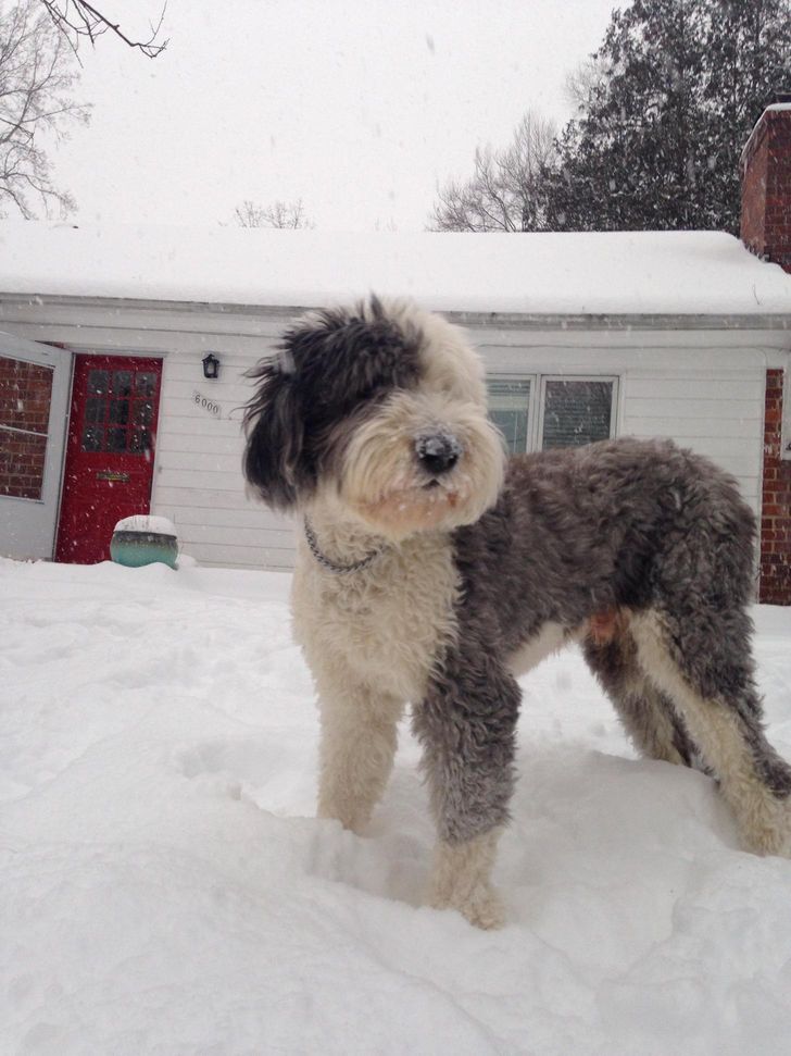 d8e82552ebb314fcbf5f0dd89d