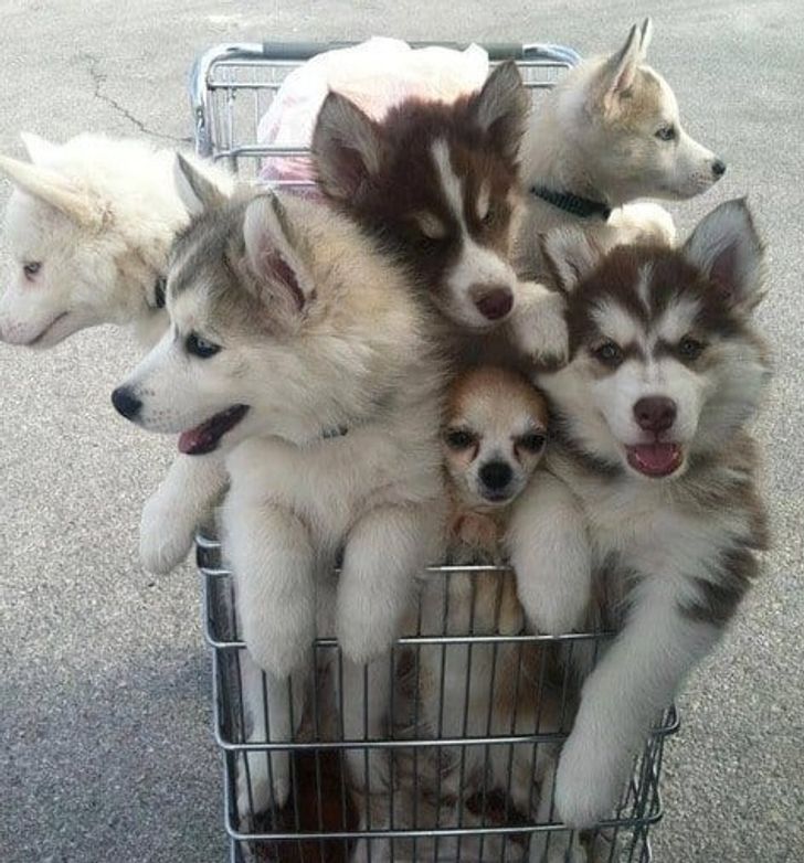 d900075dbd8a8958ab16b74f94