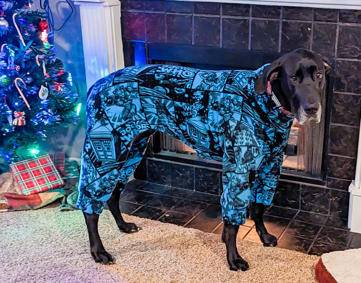 d90730502592724619ca3ffe60 d90730502592724619ca3ffe60