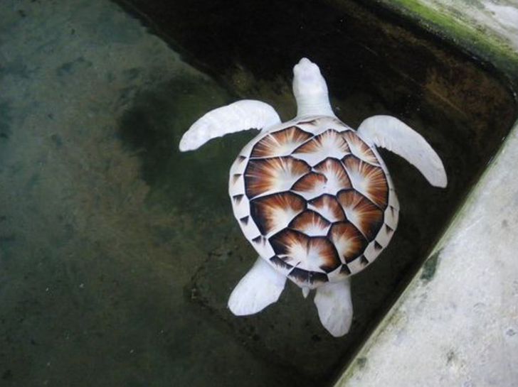 d9075b50eaae92e0c3eaa78640