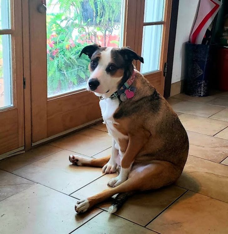 d9076f5ddfb6c923c7c0d4c88b