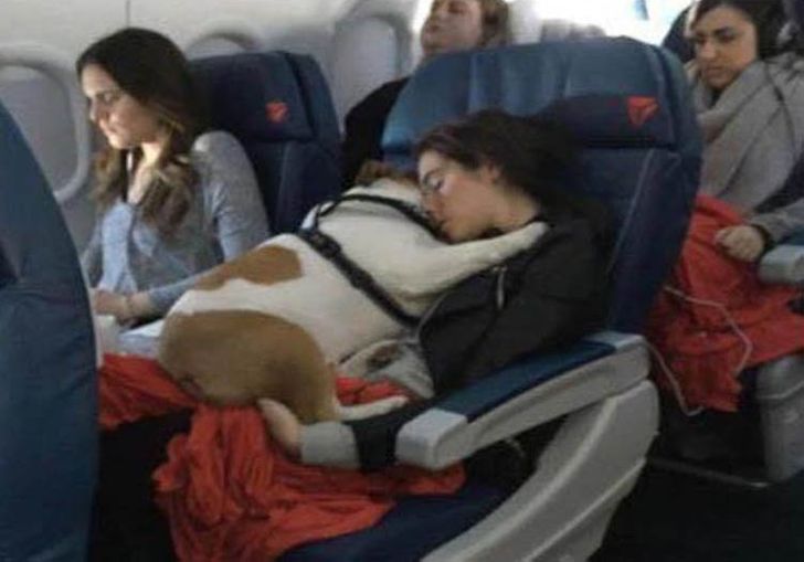 d9089a5243ba63cb6ed392d55b