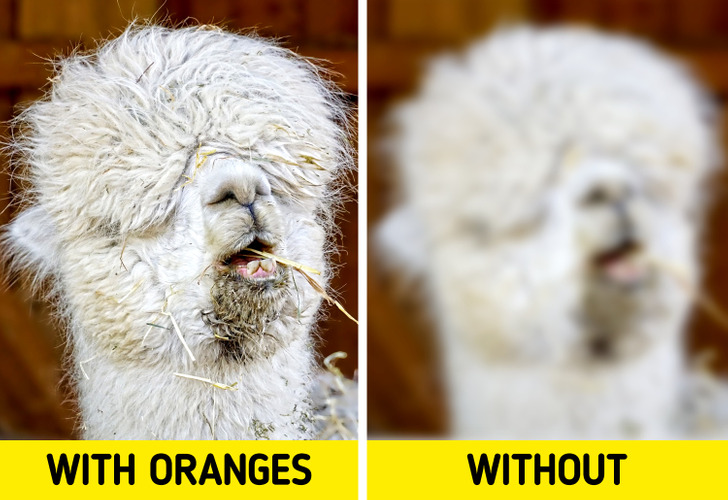 d90a695c0e83a8e68908ece0d8