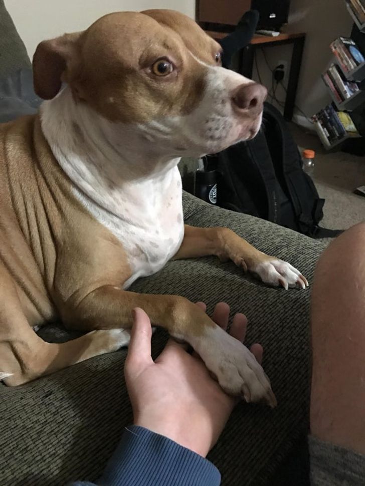 d90b2856f294f7b6c83e36b6b9