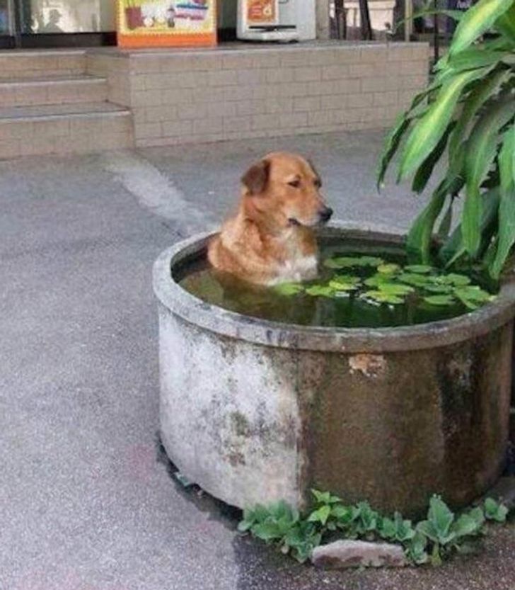 d910e252409a170c688d4eb2b5