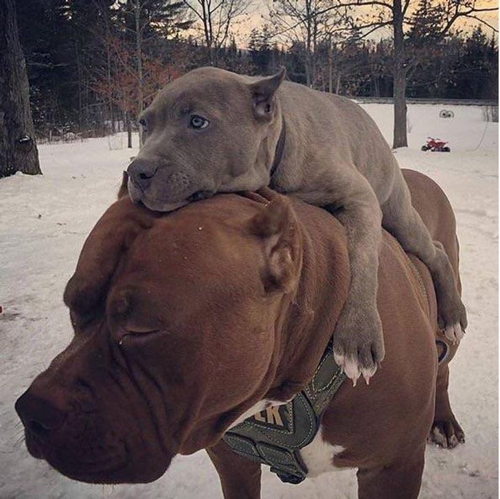 d91367508ea80c39728298d53d