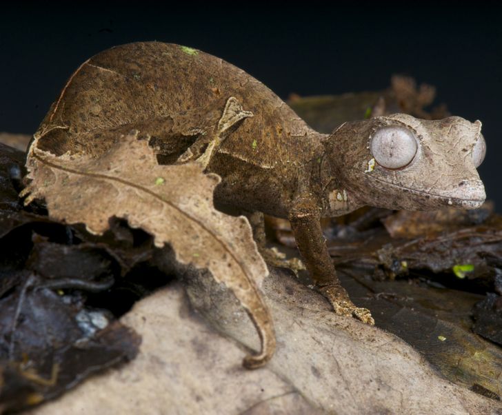 d92dbf5637b8884629a7aa89f8