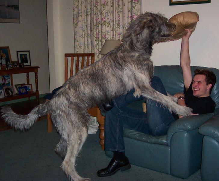 d9348b599f969b0f8379e1ea8b