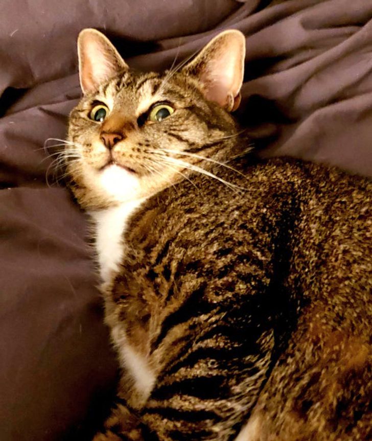 d93c8d57ad9c18069b315973a9