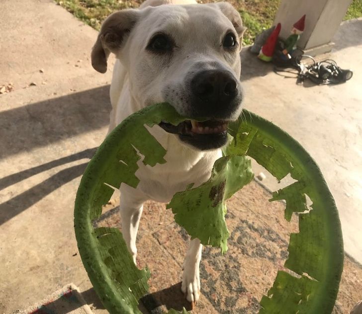 d942cb5ec093f7c4bf6df14faa