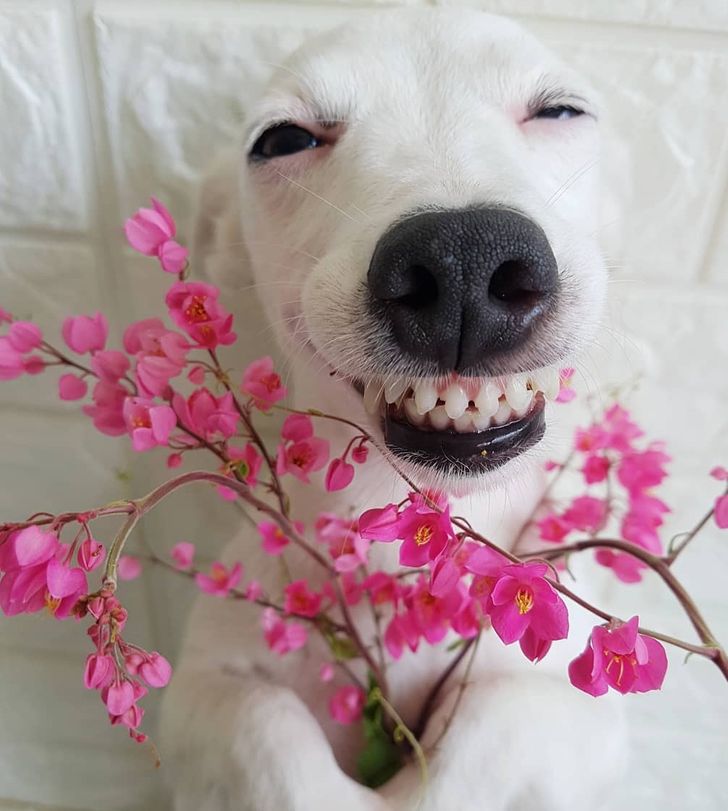 d949de57aea8ae779e36c2337c