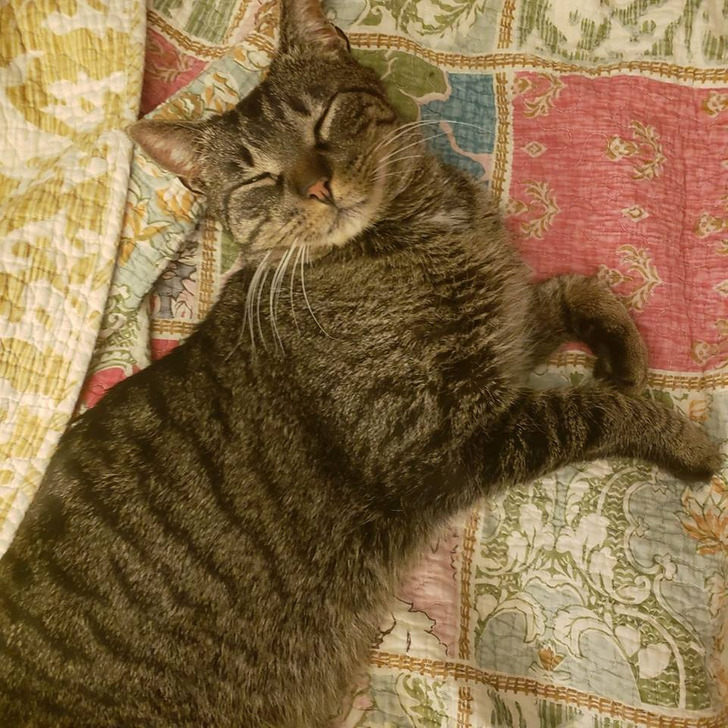 d94b1756c48e5972960a696721