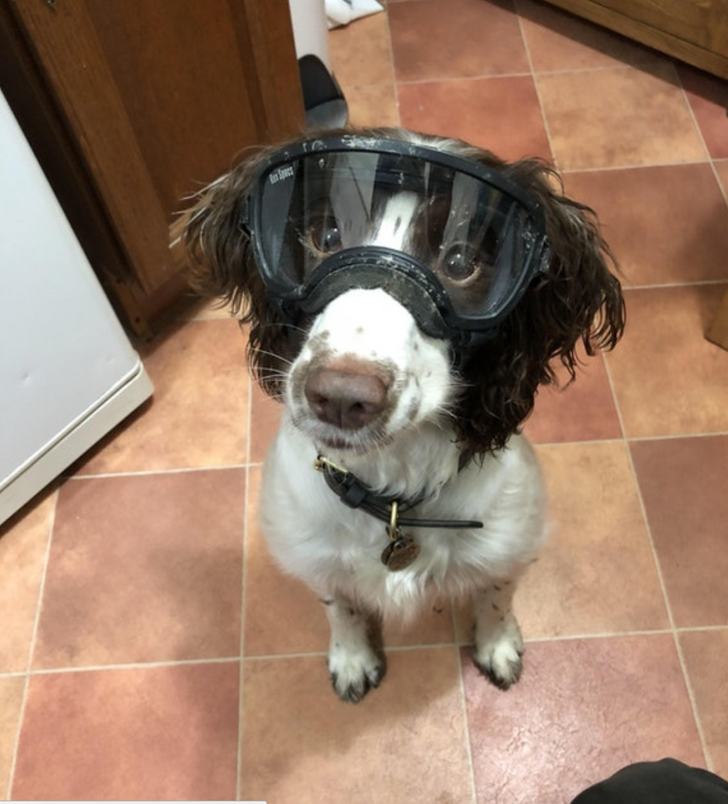 d94f9f5a63a87f76254909e779