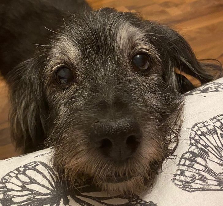 d9507e549bacd2f931ed3175bb