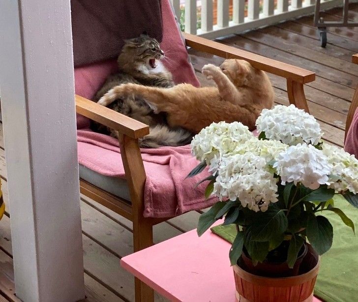 d962b256989edfb7587c4ee392