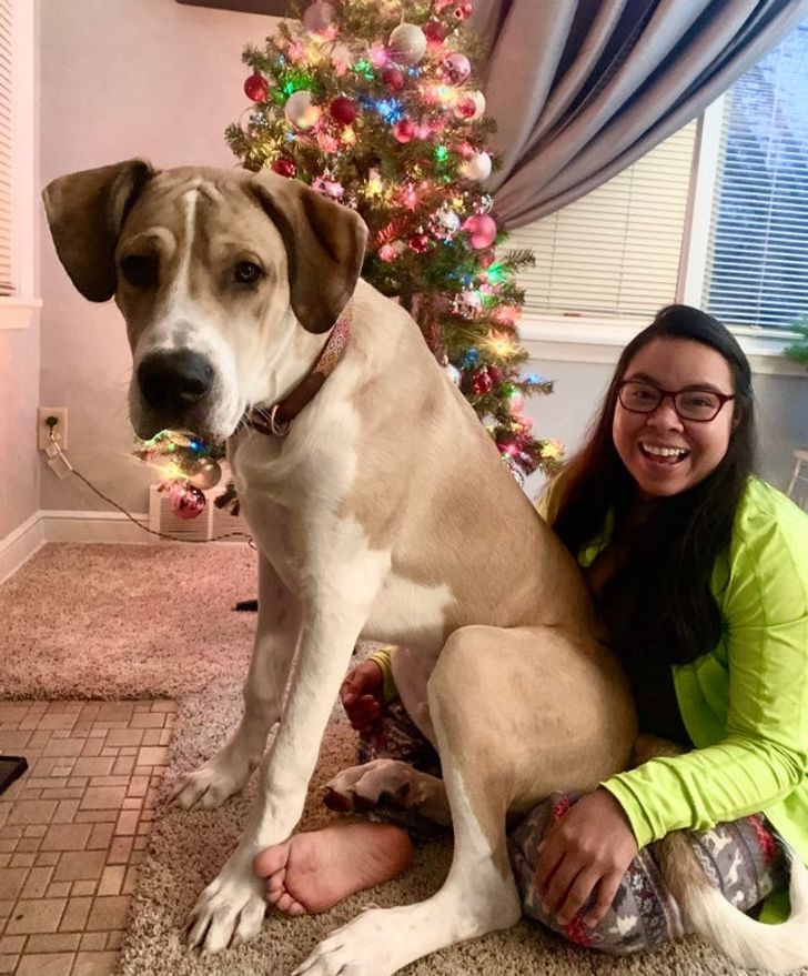 d97cee50e7a61fc157eea0f2c4