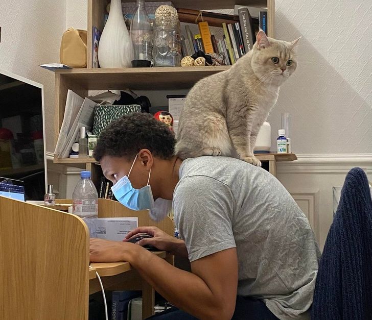 d97d9054f69c9f7b7df2d70ae2 d97d9054f69c9f7b7df2d70ae2