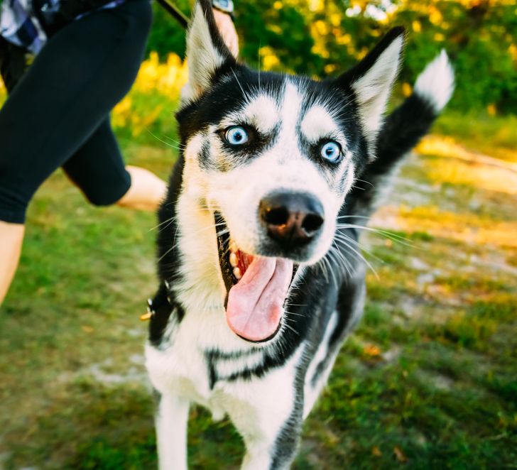 d98afa5e44937a6c3e3260370d