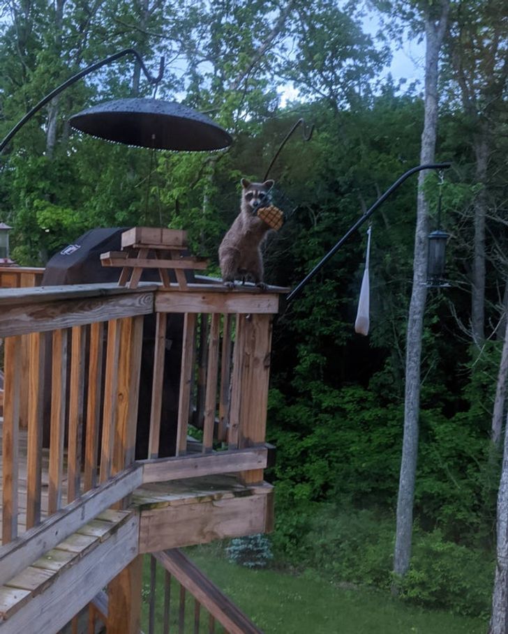 d98e9f554880d0ecf14c7c52f9