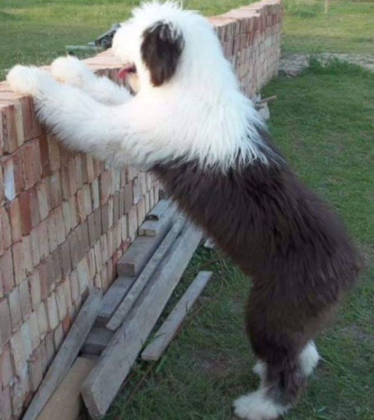 d98f8f50b9b94d09e2500908e3