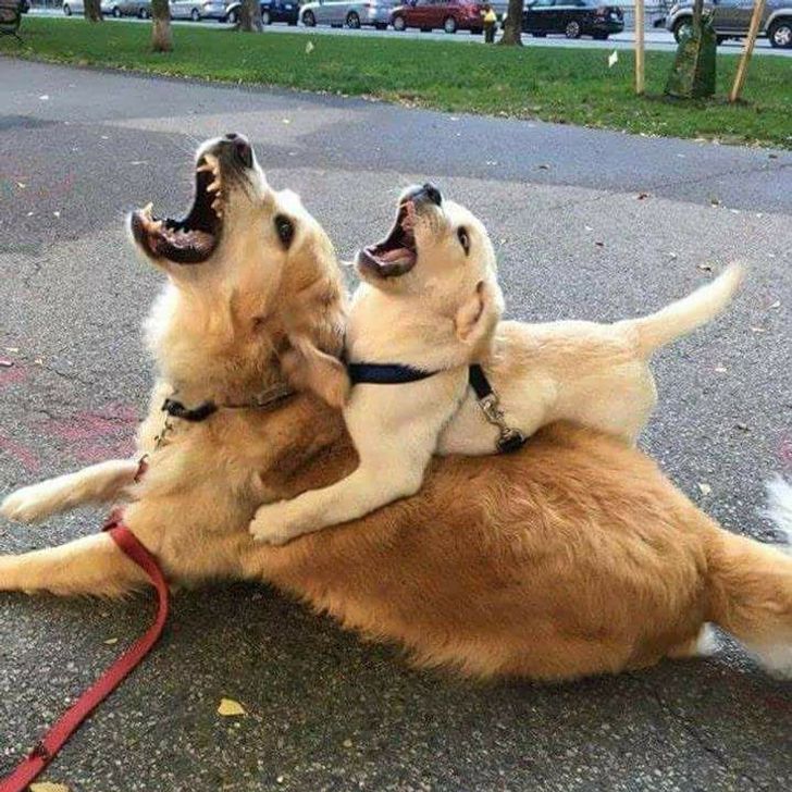 d996925772beb00a58b51d34c1