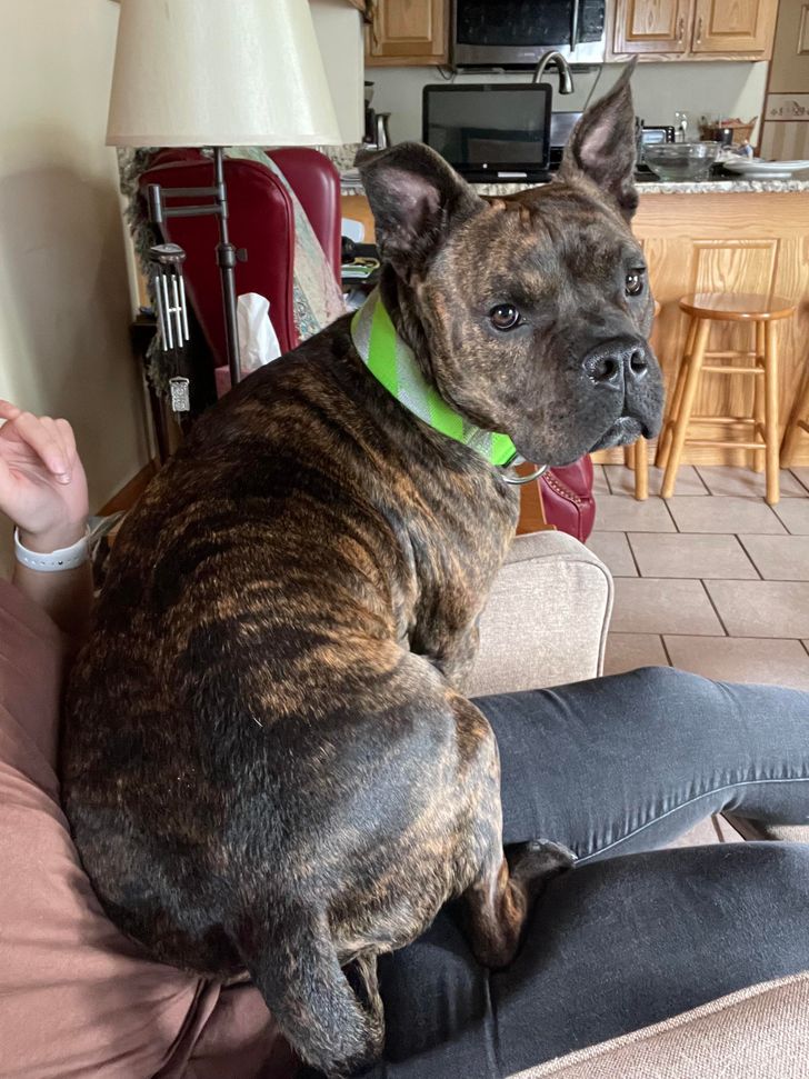 d99a745f4da7eb7ffbdf6434d6