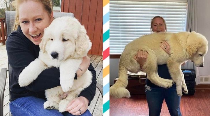 d9af6153cdae9a213e51dd2e89