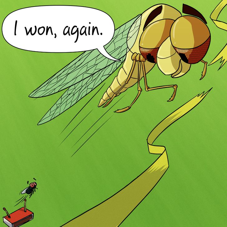 d9af665ba9bd31554b2b6d1fe8