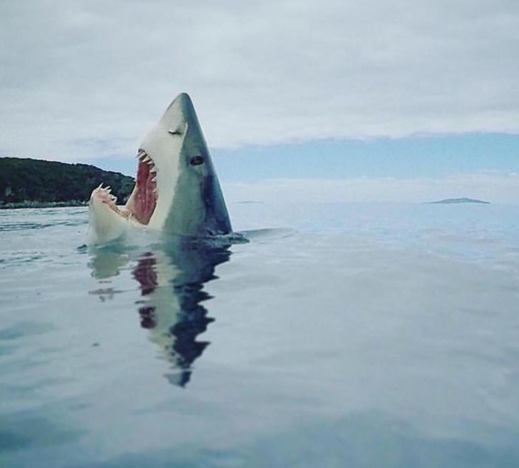 d9b4b158baa794d6b29fcab7a0