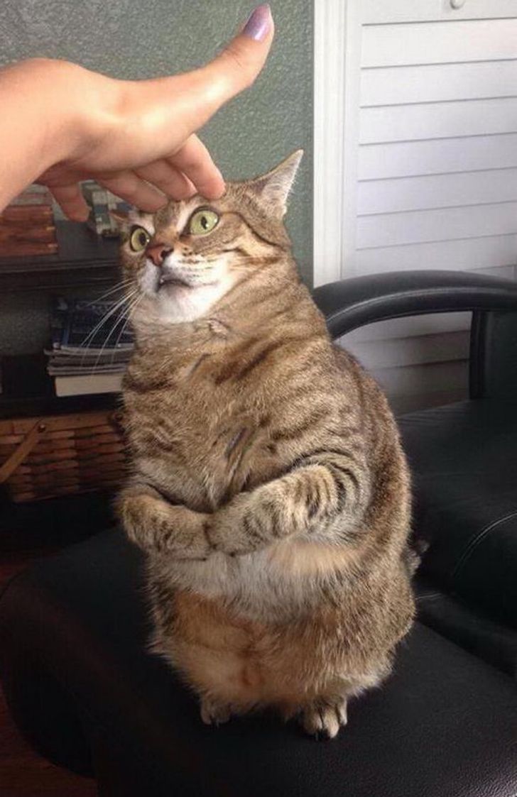 d9b5e258dfbaaf30a0cbcabdf9