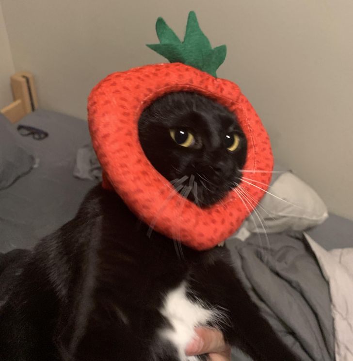 d9b7d95b0f908a19feb7581eda d9b7d95b0f908a19feb7581eda