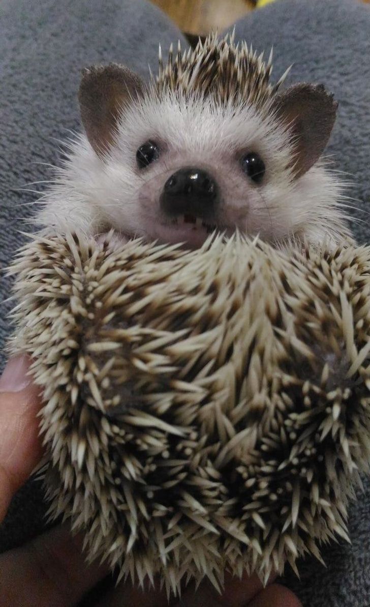 d9c0fa53cabebc41bb302c5b7b