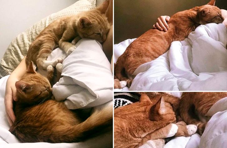 d9c5185e2e97af446d7b91fff1