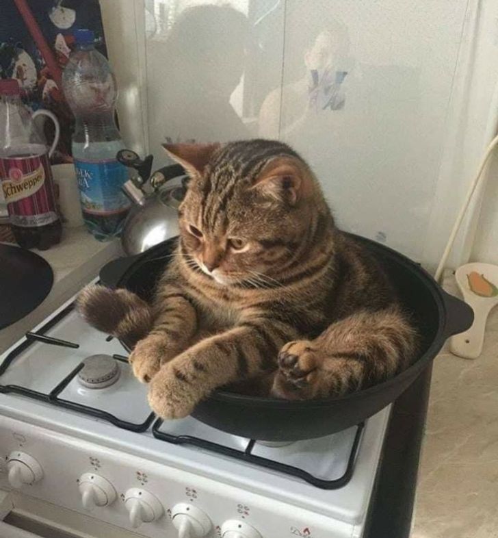 d9c5c25361abb2e0cac6f9a9c5