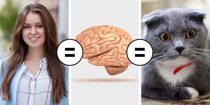 d9d34b5c1e90869ded6cb8ad96