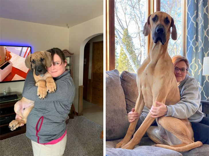 d9d77058079b3c21b88f5e1f1c