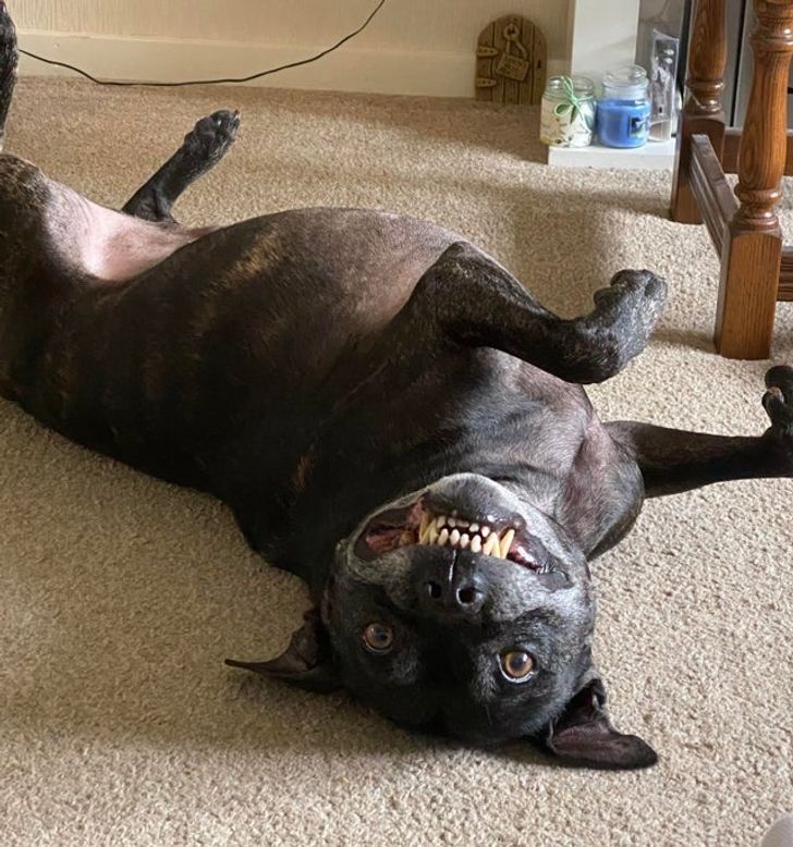 d9dcbb55e08c8abc5fbb13789d