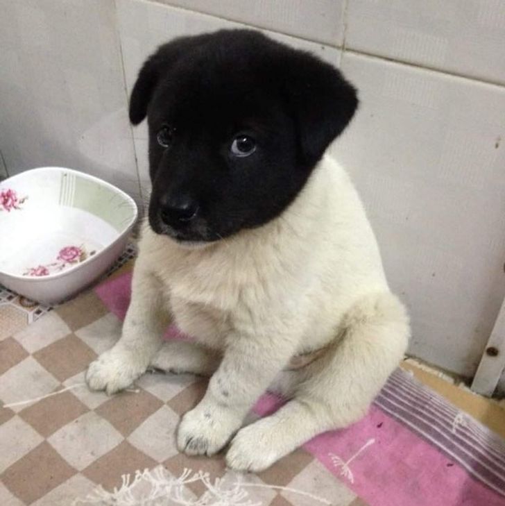 d9e0505791ad703df306b33c3e