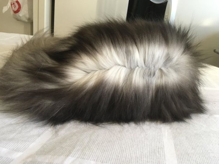 d9e08157dc8431092de22e9da4