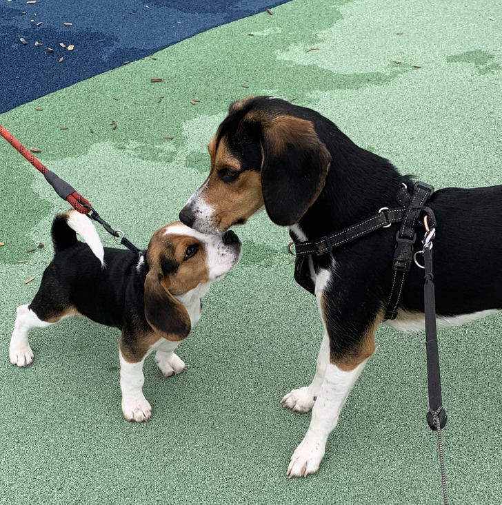 d9f431513fa300248fd2f49db4 d9f431513fa300248fd2f49db4