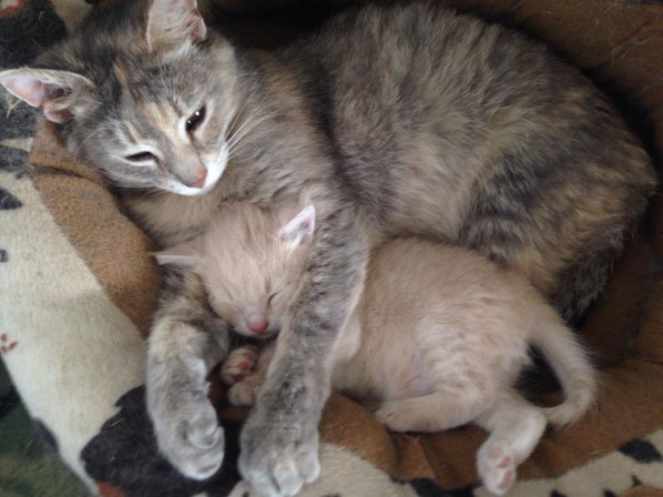 d9fc3053659a5274931a81125f