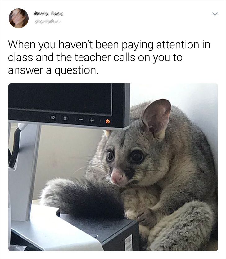 da004451148c09fce976bd406e