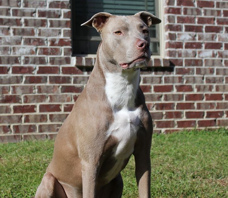 da0271523781a2538fb793bb14