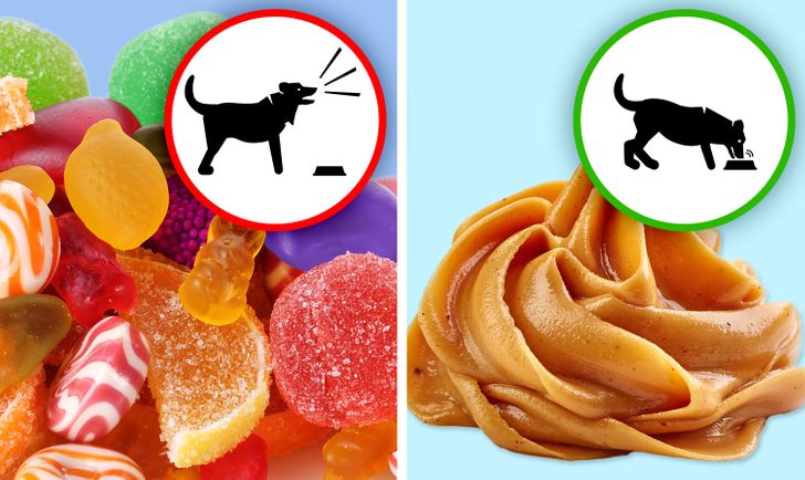 da0c9157a9958ed7ec8185ffc1