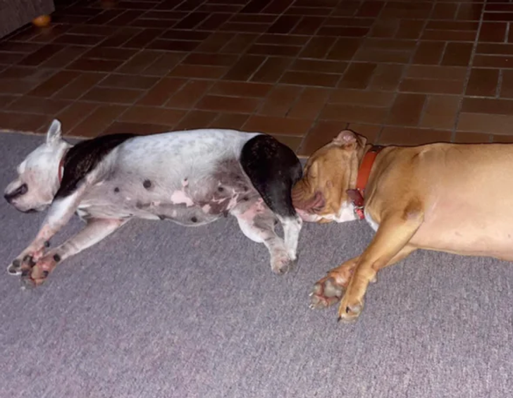 da143056ffa9a1d5aa44aaee75