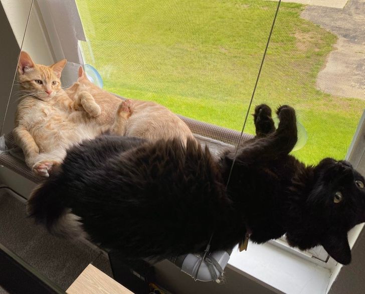 da20b45d9096951a90392cb8a6