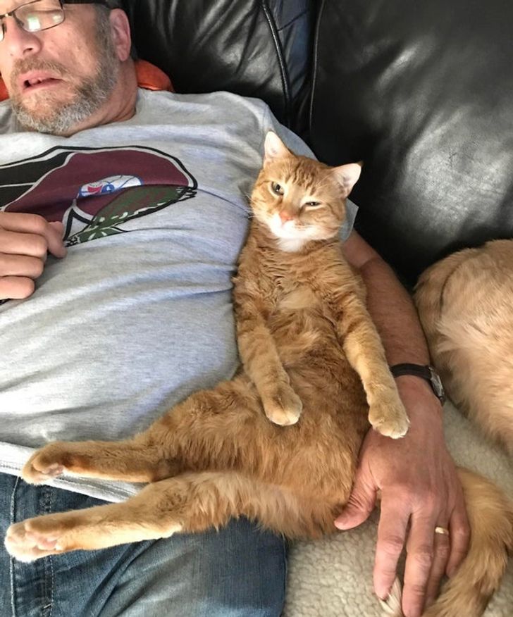 da23ec51b6a1aa367a62fdd65e