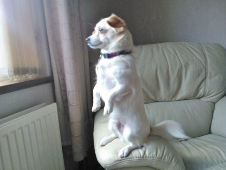 da2d625d3cb9fea84be7899fba