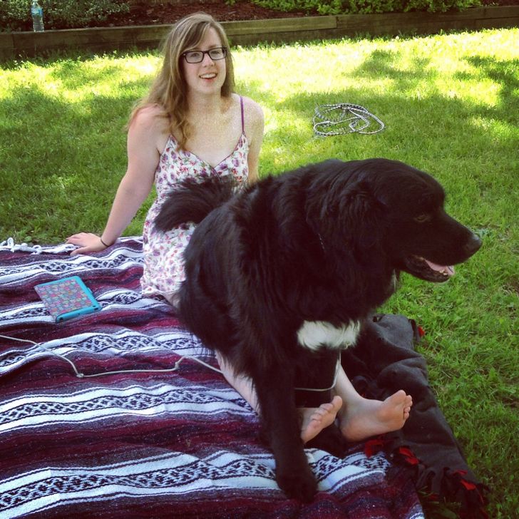 da31fd518c9b9cd7a95a35d329