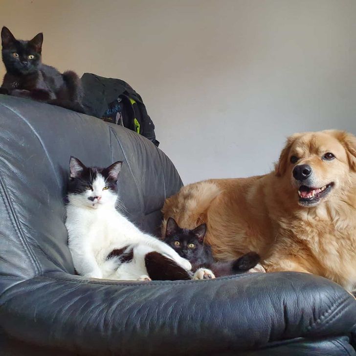 da379d537397f0a2ac7317aa8c